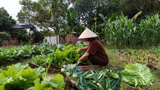 How I preserve a variety of vegetables without losing their freshness and cooking flavor [upl. by Wehttan]