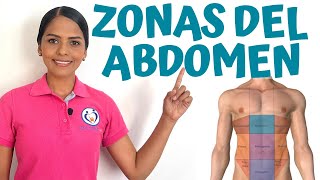 ZONAS CUADRANTES O REGIONES DEL ABDOMEN [upl. by Enytsuj]