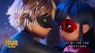 Ladybug And Cat Noir flirting 😍😘 Miraculous Ladybug amp Cat Noir The Movie [upl. by Olnee]