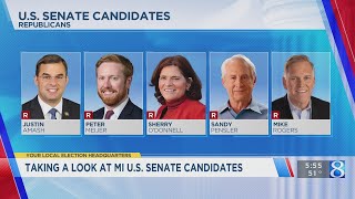 Taking a look at MI US Senate candidates [upl. by Gerek]