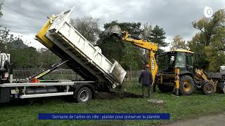 Reportage  Semaine de larbre en ville  planter pour préserver la planète [upl. by Rochemont]