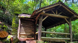 Hiking the Warwoman Dell nature trail in Clayton Ga [upl. by Aloek49]