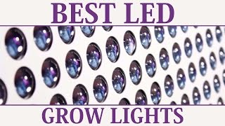 Best LED Grow Lights [upl. by Pinette]