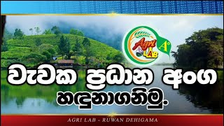 වැවක ප්‍රධාන කොටස් ජල ප්‍රභව  Parts Of A Tank  Lake  Water Resources SinhalaAgri LabDehigama [upl. by Akeimahs922]