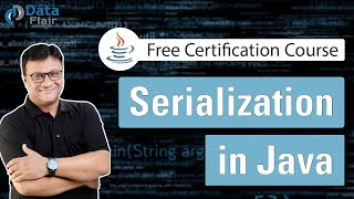 Serialization in Java with Examples [upl. by Maroney513]