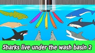 EN Sharks live under the wash basin 2 kids animals animation sharks adventureㅣCoCosToy [upl. by Einnig501]