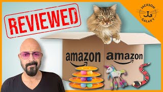 Cat Expert Reviews Bestselling Cat Toys on Amazon [upl. by Ettelegna]