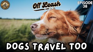 Dogs Travel Too [upl. by Nassah]