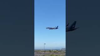 Boeing 737 Landing [upl. by Proulx]