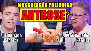 Musculação AGRAVA ou MELHORA a Artrose Live [upl. by Aehta980]