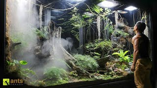 Invasive Ants Broke Into My Giant Rainforest Vivarium [upl. by Stein]