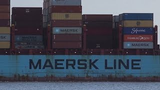 Shipping Company Maersk Announces Carbon Neutral Plan [upl. by Manchester]