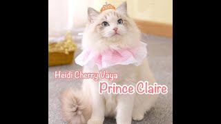 Fun Bedtime Story For Kids  Heidi Cherry amp Vaya  Prince Claire [upl. by Annazus202]