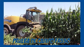 🌽 Prueba de Campo FR550 La Picadora de Forraje que Revoluciona la Agricultura 🚜 [upl. by Plotkin]