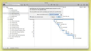 Project Maintenance — OmniPlan 2 for Mac [upl. by Trudie]