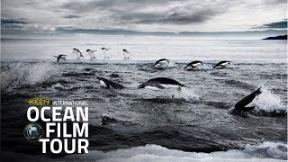 International OCEAN FILM TOUR Volume 1  LAST OCEAN Trailer  selected by GEO [upl. by Esaj]