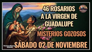 46 ROSARIOS A LA VIRGEN DE GUADALUPE MISTERIOS GOZOSOS  GUADALUPANO  SÁBADO 02 DE NOVIEMBRE 2024 [upl. by Emarie886]