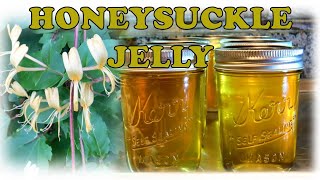 Honeysuckle Jelly  How to Make amp Can  Useful Knowledge [upl. by Demah19]