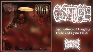 CYSTGURGLE  Expurgating and Gargling Foetal and Cystic Fluids Split Album GoregrindGorenoise [upl. by Christan159]