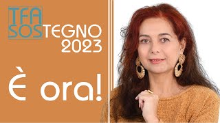 TFA sostegno 2023 3 motivi per mettersi a studiare ora [upl. by Erbas]