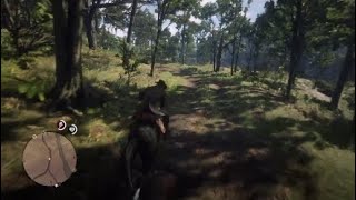 How To Ride Baylock RDR2 [upl. by Norby]