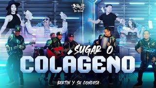 Sugar o Colágeno · Bertín y Su Condesa [upl. by Annoynek136]