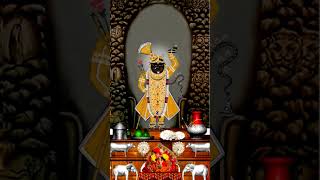 Aaj Ke Darshan Magsar krishna Ashtami 23 November 2024 Shrinathji Ke Darshan shrinathjidarshan [upl. by Ainival616]