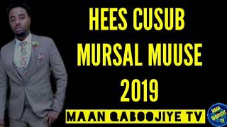 MURSAL MUUSE HEES QISO DHABA AFLAX 2019 [upl. by Yokum726]