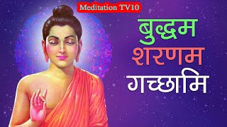 Buddham Saranam Gachchami MANTRA  BUDH JI KA DHAYAN MANTRA meditationmusic [upl. by Adolphe]