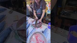 Fisher King Slice Yellowfin Tuna shorts fishcutting yellowfintuna [upl. by Liv]