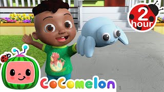 Anansi Song  CoComelon  Its Cody Time  CoComelon Songs for Kids amp Nursery Rhymes [upl. by Remsen]