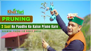 2 Saal Ke Seb Ke Paudhe Ki Perfect Pruning Tips  Plant Growth  Plant Pruning  Jittu Chauhan [upl. by Ursala268]