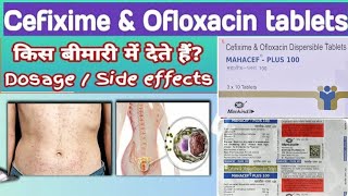 mahacef plus 100mg tablet uses in hindi  cefixime and ofloxacin 100mg  mahacef plus tablet 100mg [upl. by Mcgurn]