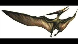 Pteranodon Sound Effects [upl. by Ardnassak281]