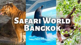 SAFARI WORLD BANGKOK [upl. by Gulick963]