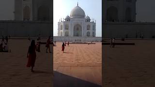 Taj Mahal shorts trending youtubeshorts viralvideo travel tajmahal [upl. by Lyndsie]