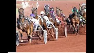 GRAND NATIONAL DU TROT le mercredi 16 octobre 2024 à partir de 14h00 [upl. by Nodnorb]