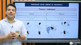 Introduction to Anatomy amp Embryology  Part 5 [upl. by Yllod]