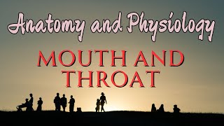 anatomy and physiology of the mouth and throat [upl. by Eerdna]