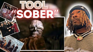 MindBlowing Tool Reaction Sober Official Video  Surprising Response [upl. by Lyssa33]