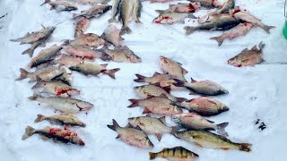 Ice Fishing Lake Poygan 123121 [upl. by Kendal]