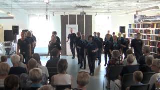 Ballerup Linedance  Opvisning til Ballerup Musikfest 23 august 2015 [upl. by Lerual]