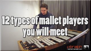 12 types of mallet players you will meet  Vibralph [upl. by Tabor459]