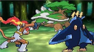 Pokemon Infernape vs Empoleon vs Torterra [upl. by Platon]