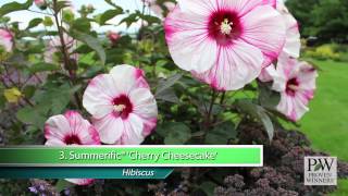 Proven Winners® Gardener Channel Proven Winners® MustHave Perennials [upl. by Inor966]