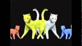 Purina Cat Chow Song Commercial [upl. by Nuarb974]