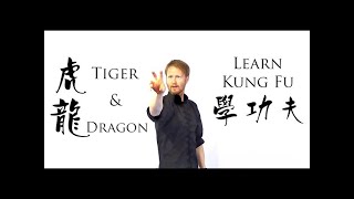 Learn Kung Fu  Choy Li Fut Tiger Dragon form [upl. by Ydnagrub]