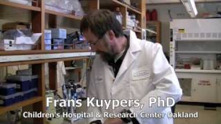 Childrens Hospital Oakland  Research Institutes Placenta Stem Cell Finding [upl. by Etirugram]