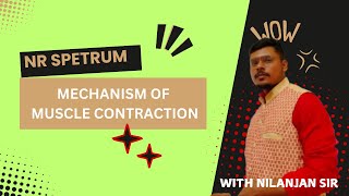 Mechanism of muscle contraction by Nilanjan Sir  NEET 2025 [upl. by Asli]