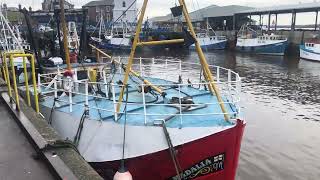 North shields fish quay [upl. by Kcered514]